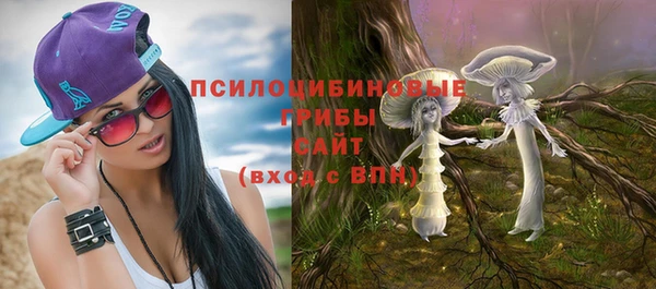 PSILOCYBIN Абинск