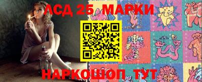 стафф Бердск