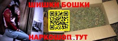стафф Бердск
