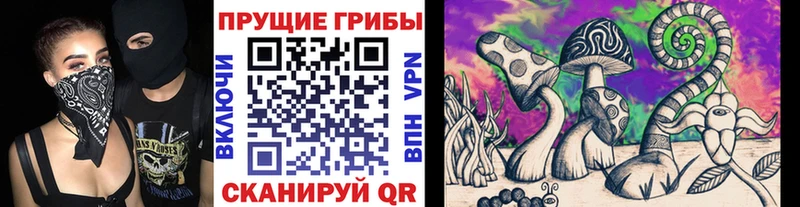 Галлюциногенные грибы MAGIC MUSHROOMS  наркотики  Богородск 