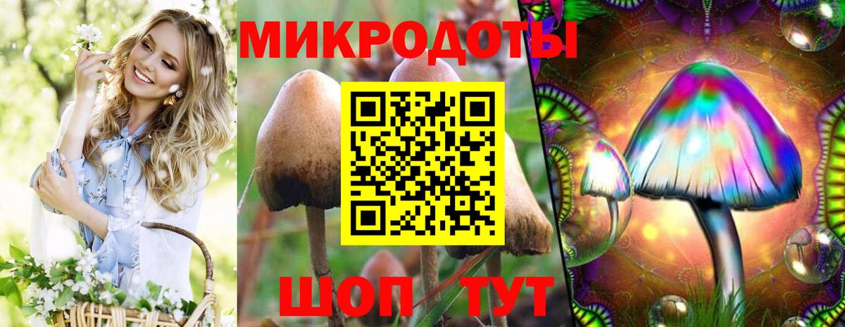 Псилоцибиновые грибы Psilocybine cubensis  Вход с VPN  продажа наркотиков  Богородск 