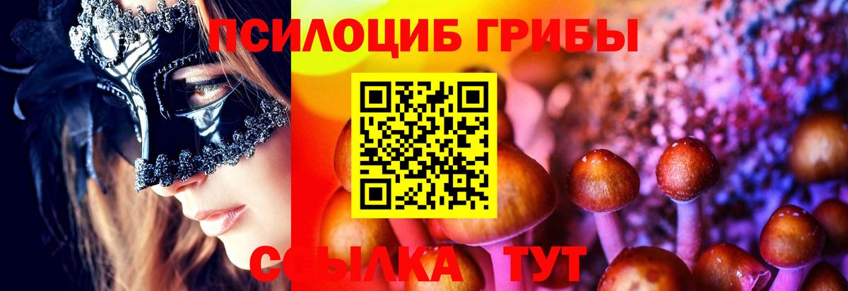 A PVP Богородск